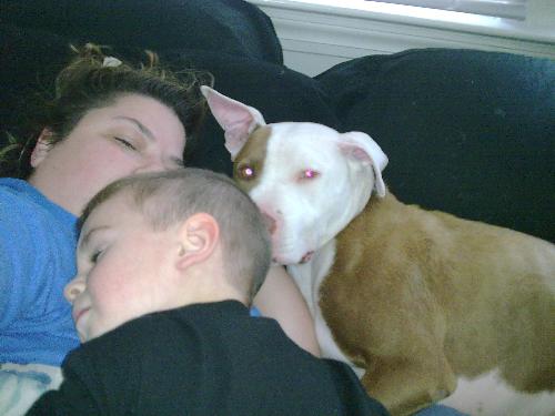 the 3 of us  - Conner, Rocky and I laying in bed together