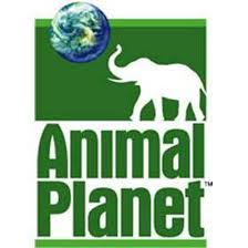 Animal Planet - hjvhv