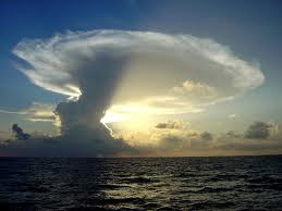 Nature - Wonders of nature.
