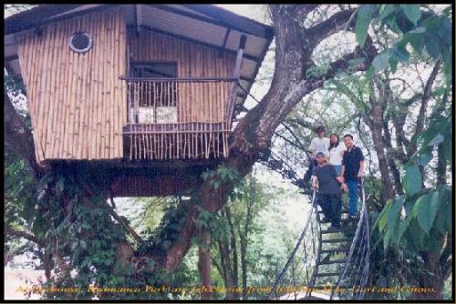 Tree House - Tree house at Pasonanca Park.