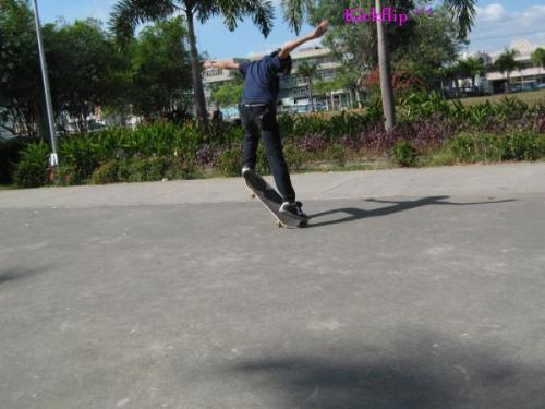 skate - skateboarding is fun