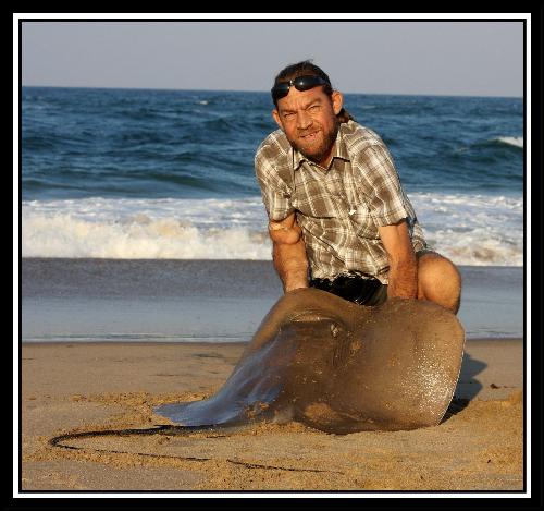Brown stingray - I caught this beautiful fish in June 2010. It weighed in at 36.16kg and was safely released.