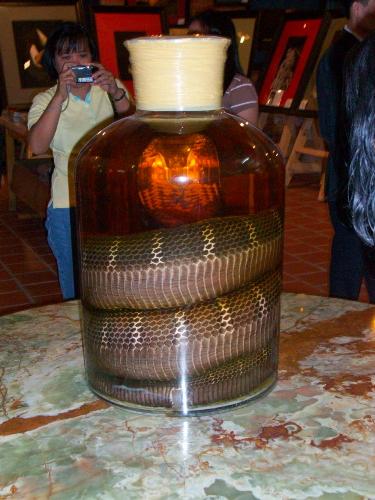 Snake Wine in Hong Ngoc, Vietnam - Snake wine is believed to enhance sexual performance in men, and is very popular in Vietnam. Snake wine anyone?