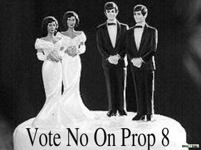 prop 8 - prop 8 non support photo