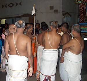 brahmans - brahmans wearing white threads