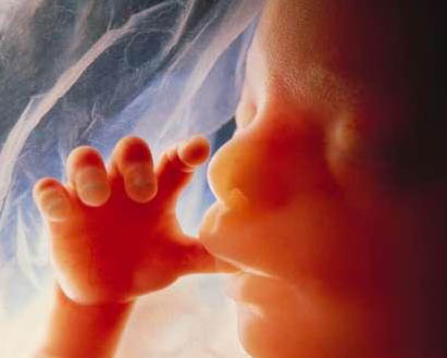 Our Future - Baby inside the womb