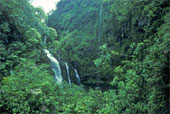 nature - i love nature