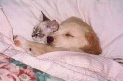 zzzzzzzzz - zzzzzzzz