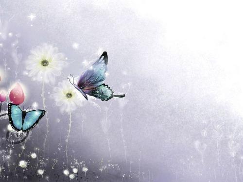 beautiful scenery like a dream - two butterflies dancing...