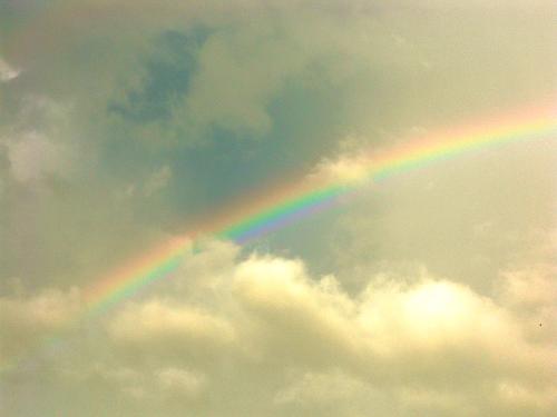 There's almost always a rainbow after the storm - We had another one of the rain storms that are becoming more common in the afternoon. The heat has been terrible with the humidity making it feel like 107 just today! The one thing I look forward is trying to find a rainbow after the storm. That's also a good way to look at life when things get 'stormy' also!