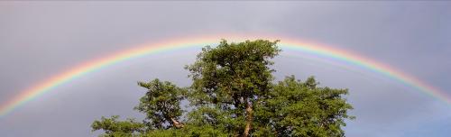 rainbow - rainbow picture