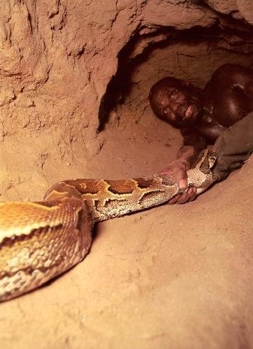 snake - catch rare snake