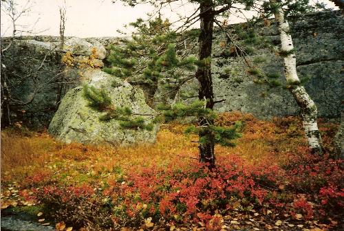 Colors of Autumn - Sometimes the nature has very bright colors and the rocks in the background are also special. It is a large formation with many caves - completely different from the usual hills.