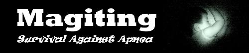 magiting banner - magiting banner for blog site