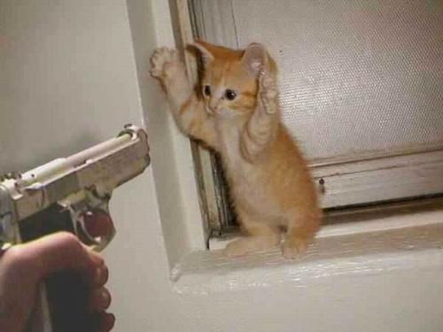 Funny Picture - Its really very funny picture..