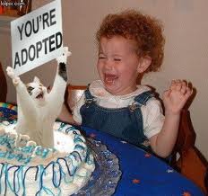 adopted! - hmm