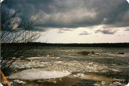 Spring, Ice on its way Down the River - Time for a new summer soon.