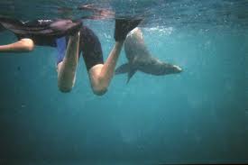 Swimming like this is risky - Swimming like this is risky a lot