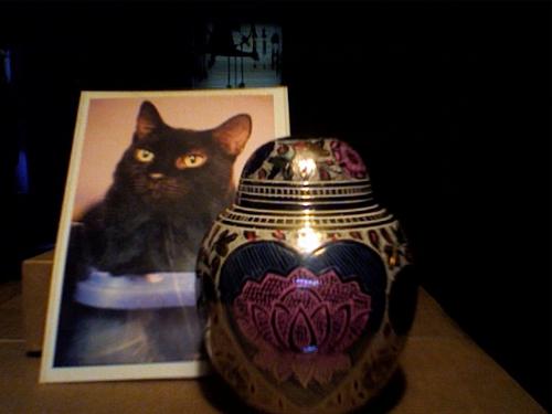 Pyewacket's Urn - image of Pyewacket's urn and a photo of him