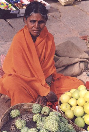 fruit seller - a woman selling fruits