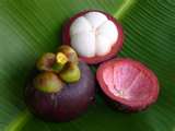 mangosteen - queen of fruits in its lavender color