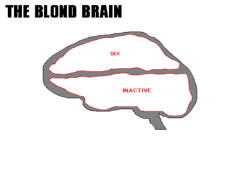 god must be crazy - have you ever imagined what i just typed noe and a lot further more is all human brain has rached to the unimagined levels of technology.just think from wher we started and does it have some end. imagie the wonders of human being next 50 years. its all blood and brain