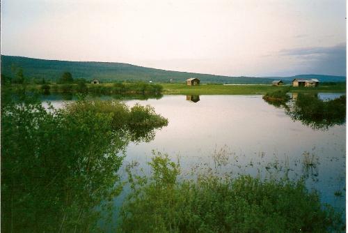 Part of Torne River - An isle in the river, sometimes used as pasturage for sheep or other animals.