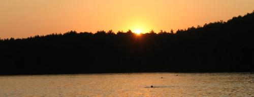 sunset - This shot was taken while swimming with my family at Walden Pond, MA.