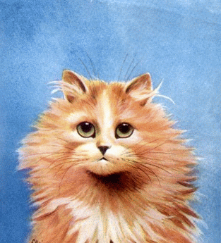 My Cute Cat - My putungtung