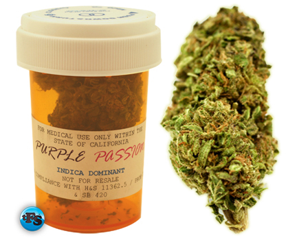 purple passion - this is purple passion the top marijuana type to relieve pain and stress, used for most medical marijuana