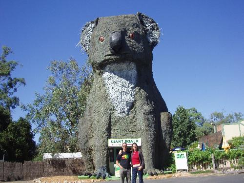 Big Koala - Big Koala in Victoria, Australia.