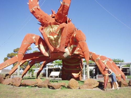 Giant Lobster - Lobster anyone?
