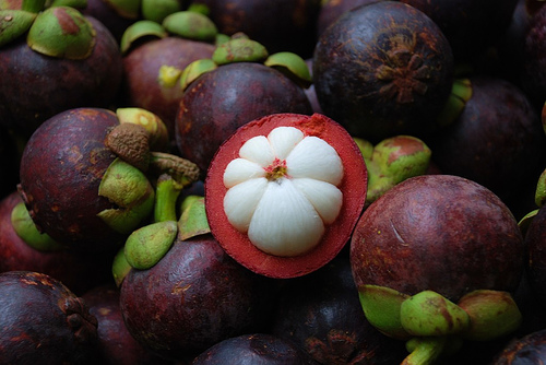 Mangosteen fruit - Mangosteen fruit a herbal medicine Mangosteen fruit - Mangosteen fruit a herbal medicine