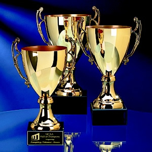 Talent and Skill - Award, trophies.