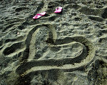 love sand - love sign on the beach sand