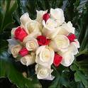Flowers - Flowers for you
