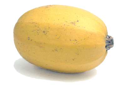 spaghetti squash - A lovely and nutritious spaghetti squash! spaghetti squash - A lovely and nutritious spaghetti squash!