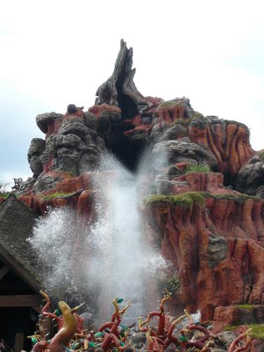 splash mountain - my fav ride.