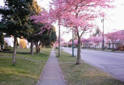 Vancouver - Street in Vancouver