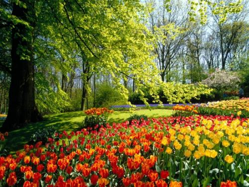 so great - THere are so many beautiful place in the world.