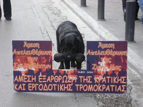 Protesting Dog  - Dog holding a sign with his mouth.