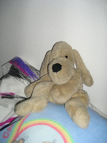 Buddy - My stuffed dog Buddy