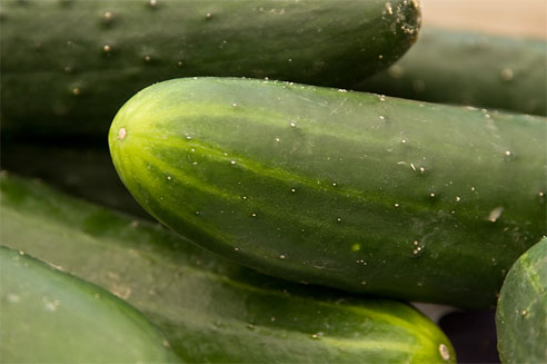 cucumbers - Cucumbers, veggies
