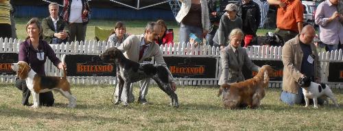 Dogs and owners look alike - If they participated in a look alike contest, they would be between the finalists