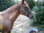 Mamma - This is a headshot I got of Mamma on my cell phone.