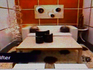 designed room - This is a photo of a room designed by David Bromstad, then a contestant on the first season of HGTV's Design Star. In this challenge, David could only use items found in a pet store. 