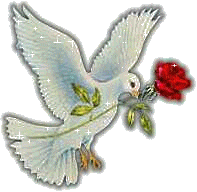 love in the air - This is the symbol of love for centuries. It is the most amazing picture anyone would like to get in a Card, It is the charm for Valentine. It makes the ladies smile with affection to see this bird of love.