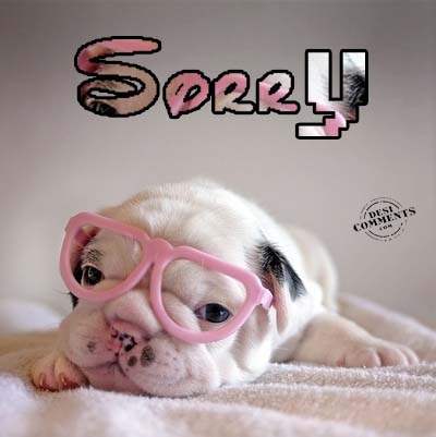 Sorry - I am Sorry. Please forgive me.