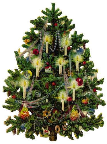 Christmas Tree - A traditional christmas tree.