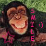 Smile! - this is a cute picture of a brown monkey smiling very big and has the word smile in red lettering it will make people smile when they see it